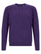 Polo Ralph Lauren Braided Sweater