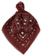 Alanui Bandana Paisley
