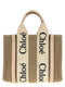 Chloé Woody Small Handbag