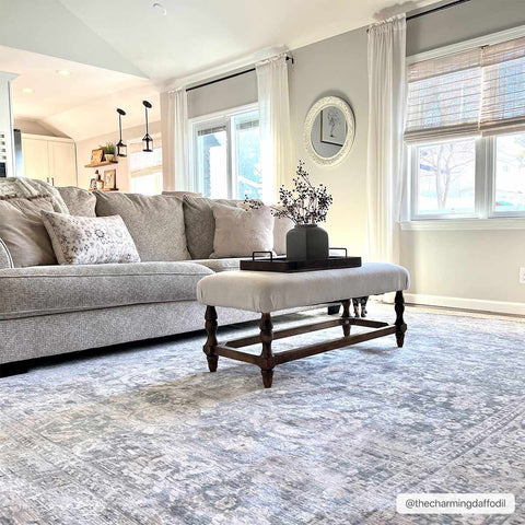 Guiwanon Area Rug - Clearance-Rugs-Boutique Rugs-3'3" x 5' Rectangle-Urbanheer
