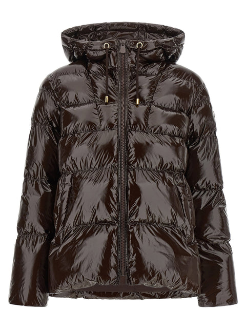 Pinko Eleodoro Down Jacket