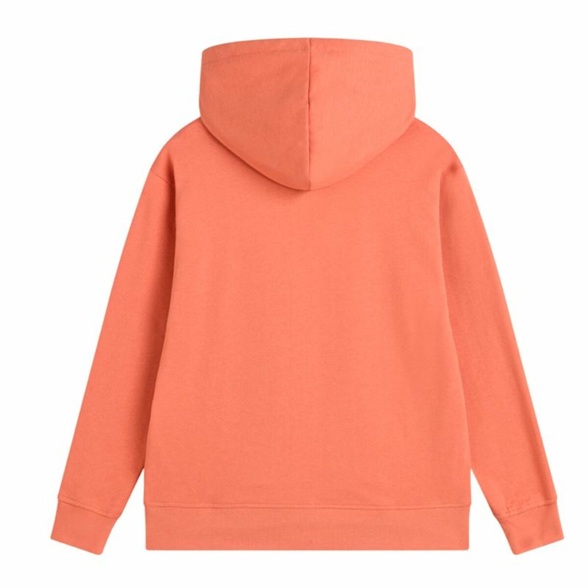 V4H4A9063911D9A8660745C6A8EB9ED230FR5460462P2