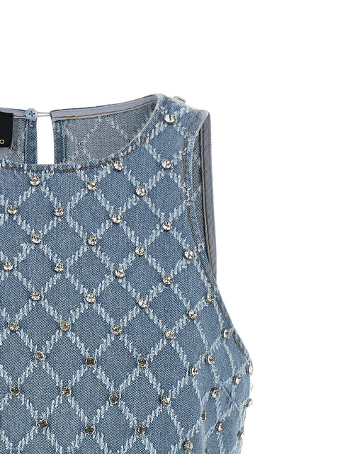 Pinko Amorino Dress