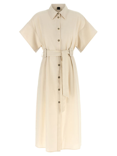 Pinko Alesha Dress