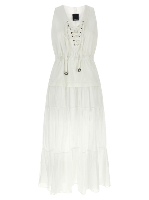 Pinko Casarsa Dress