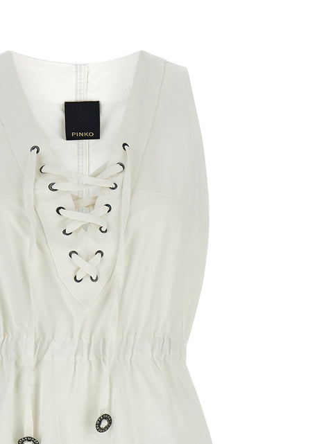 Pinko Casarsa Dress