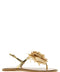 Le Silla Rose Sandals