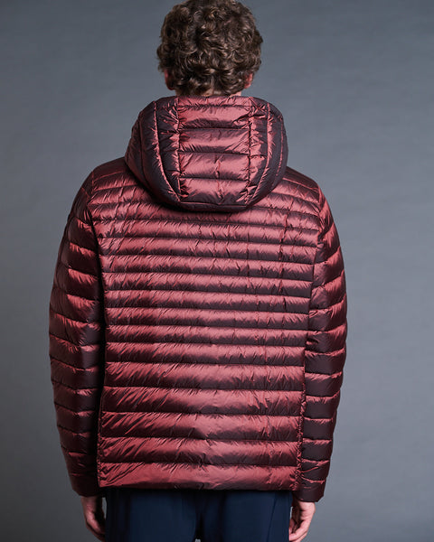 HALLEY MAN short down jacket