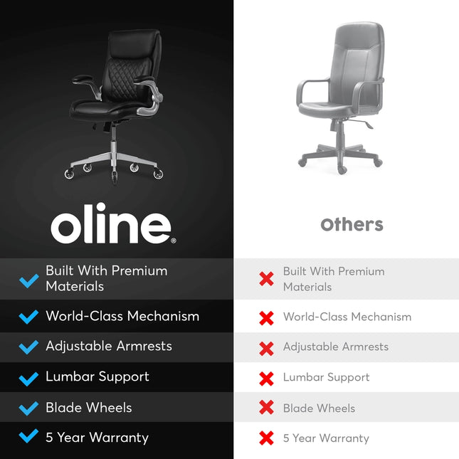 Ergoace Executive Ergonomic Office Chair Black-Office Chairs-Oline-Black-Urbanheer