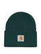 CARHARTT WIP MAIN Hats CAMEL