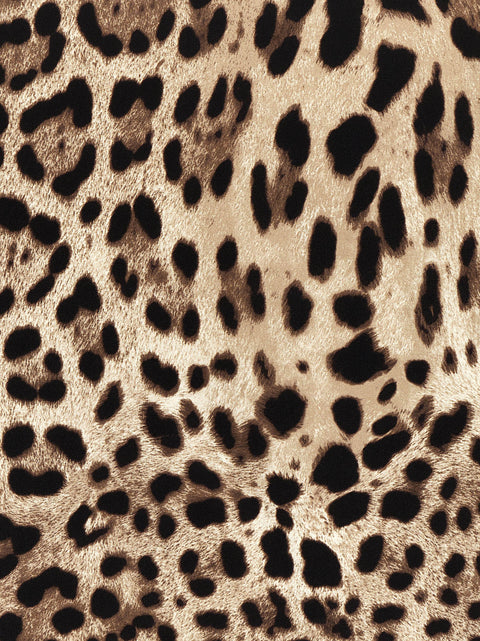 Dolce & Gabbana Leopardo Scarf