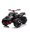 24V Freddo Spider 2 Seater Ride-On 3 Wheel Motorcycle