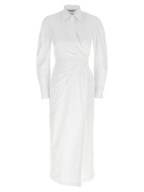 Max Mara Balzac Dress