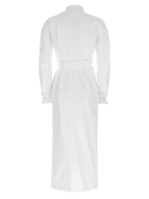 Max Mara Balzac Dress