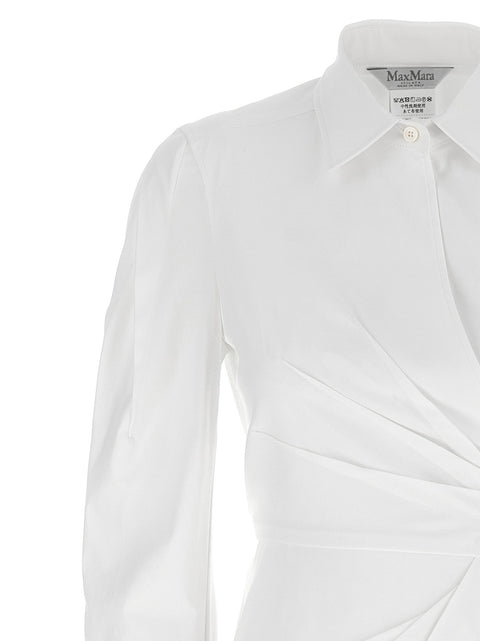 Max Mara Balzac Dress