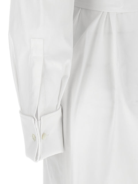 Max Mara Balzac Dress