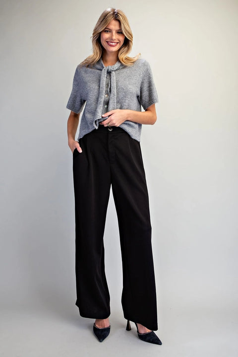 Pleated Elastic Back Waist Pants