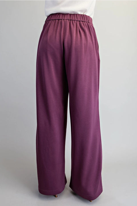 Pleated Elastic Back Waist Pants