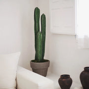 3.5' Cactus Artificial Plant-Artificial Plant-Maia Shop-3.5'-Urbanheer