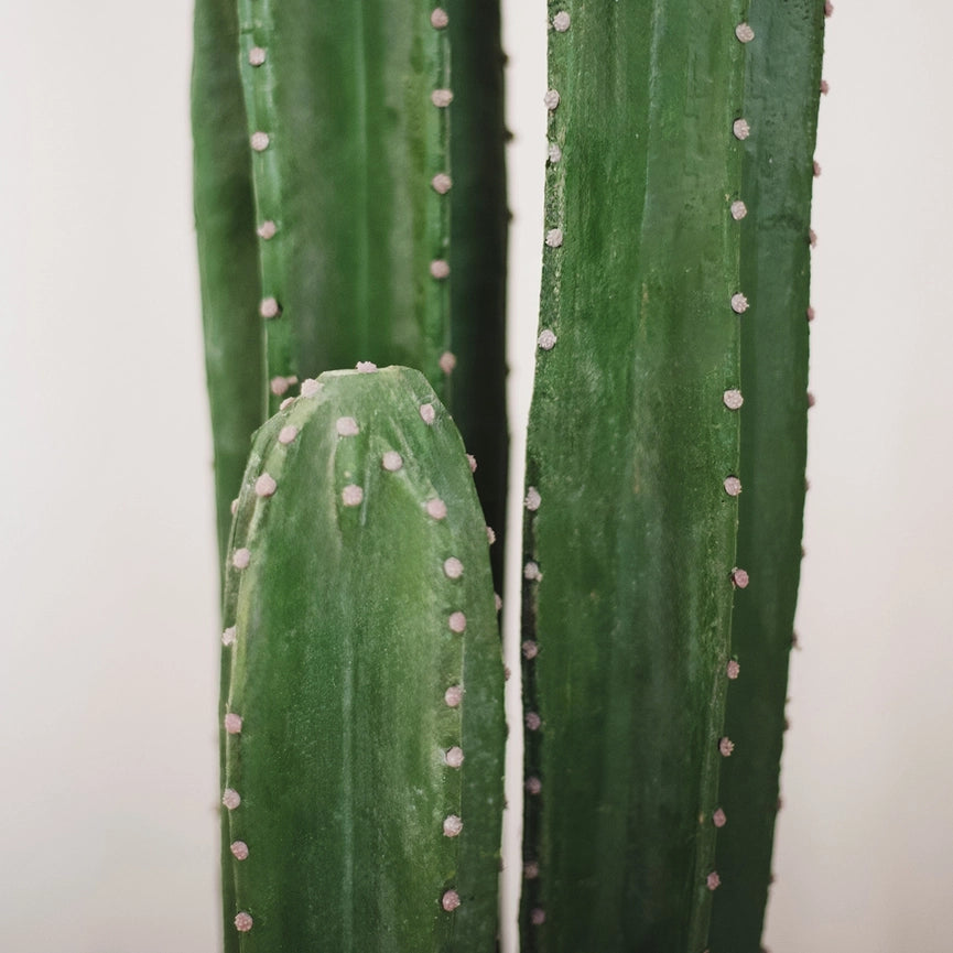 3.5' Cactus Artificial Plant-Artificial Plant-Maia Shop-3.5'-Urbanheer