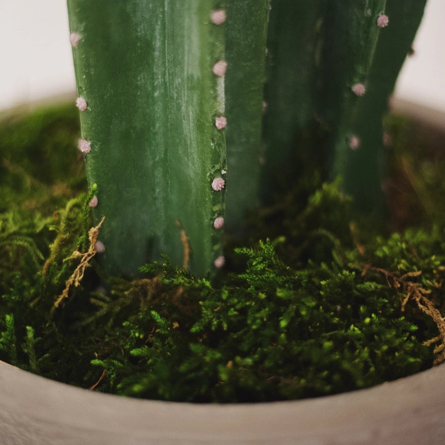 3.5' Cactus Artificial Plant-Artificial Plant-Maia Shop-3.5'-Urbanheer