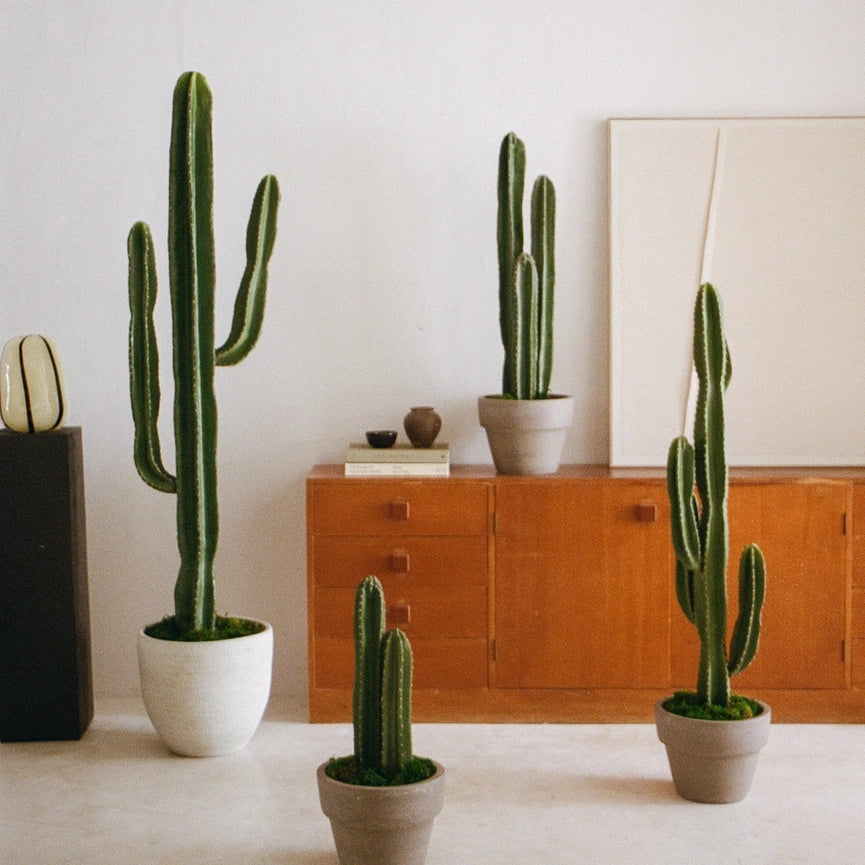 3.5' Cactus Artificial Plant-Artificial Plant-Maia Shop-3.5'-Urbanheer