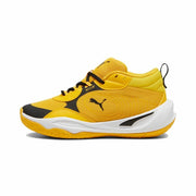 V5H11E028607826FE249570154A66B1F9DCR5417734P1