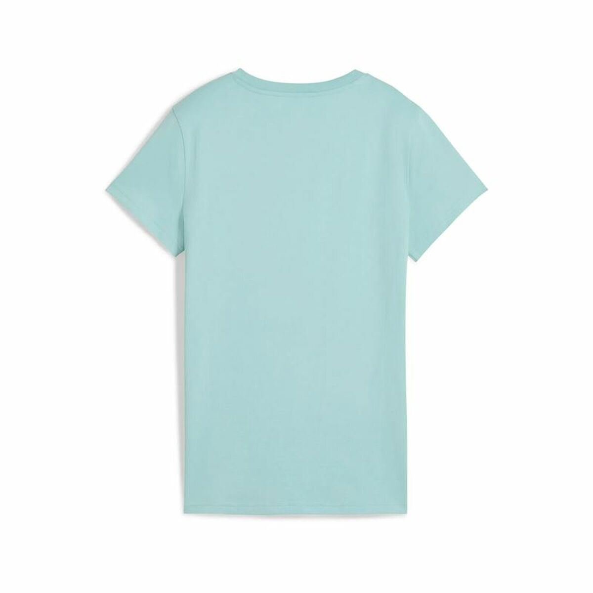 V3H202AEA060F567D1EC3187E51EA903C58R6088195P2