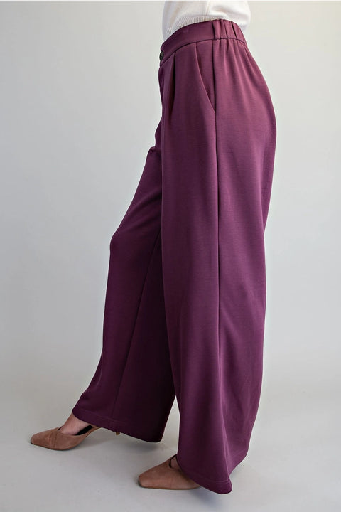 Pleated Elastic Back Waist Pants