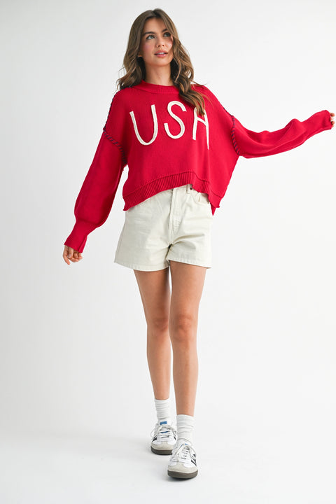 USA Sweater