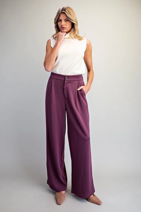 Pleated Elastic Back Waist Pants
