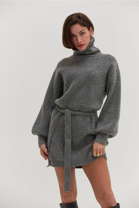 Audrina Turtleneck Sweater Dress with Tie Waist