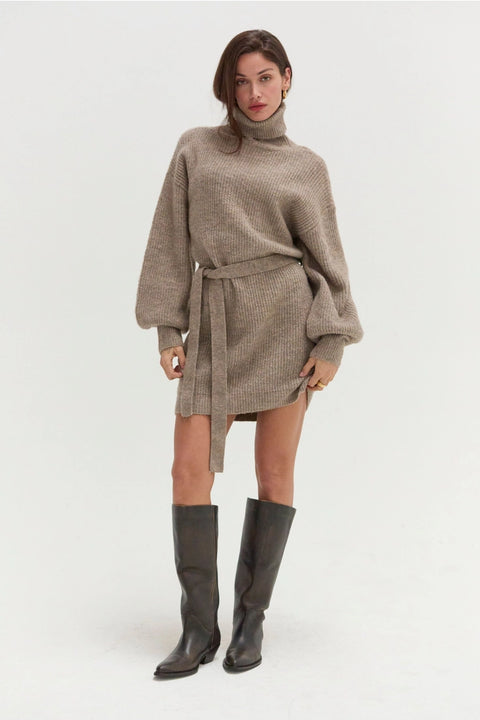 Audrina Turtleneck Sweater Dress with Tie Waist