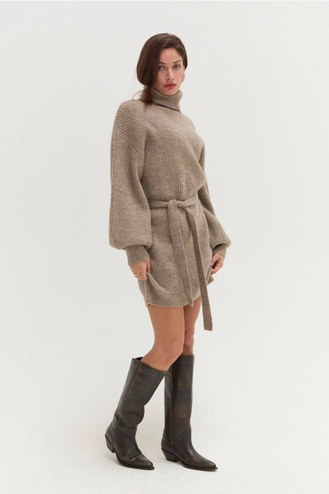Audrina Turtleneck Sweater Dress with Tie Waist