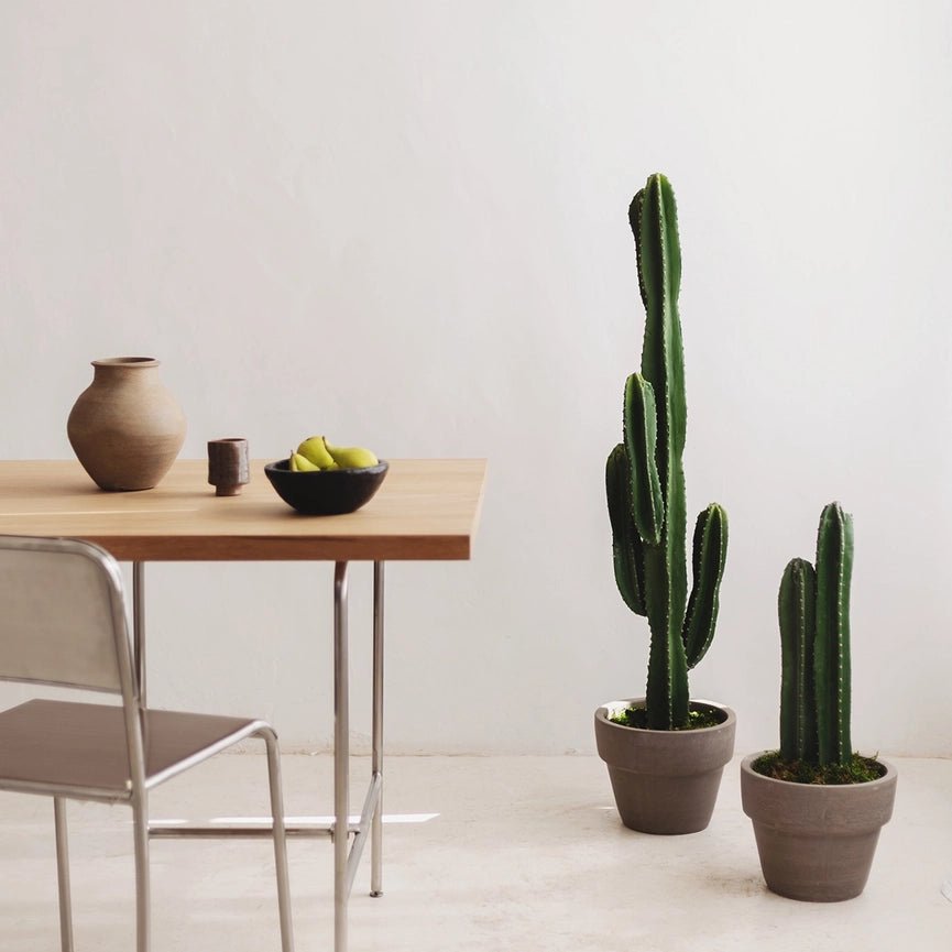 4.5' Cactus Artificial Plant-Artificial Plant-Maia Shop-4.5'-Urbanheer