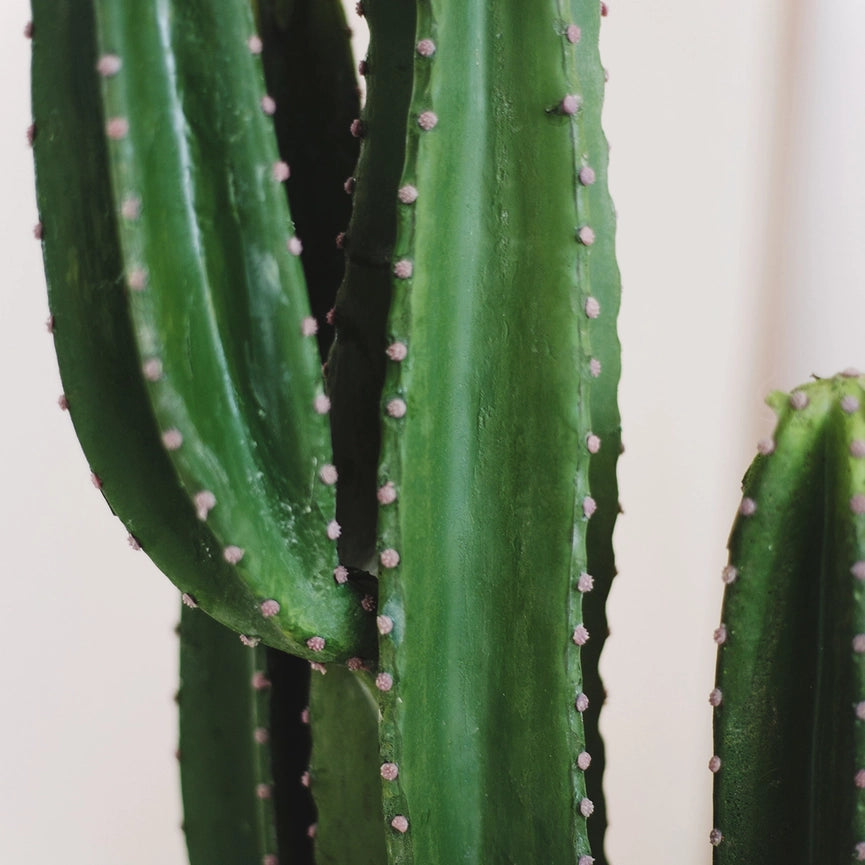 4.5' Cactus Artificial Plant-Artificial Plant-Maia Shop-4.5'-Urbanheer