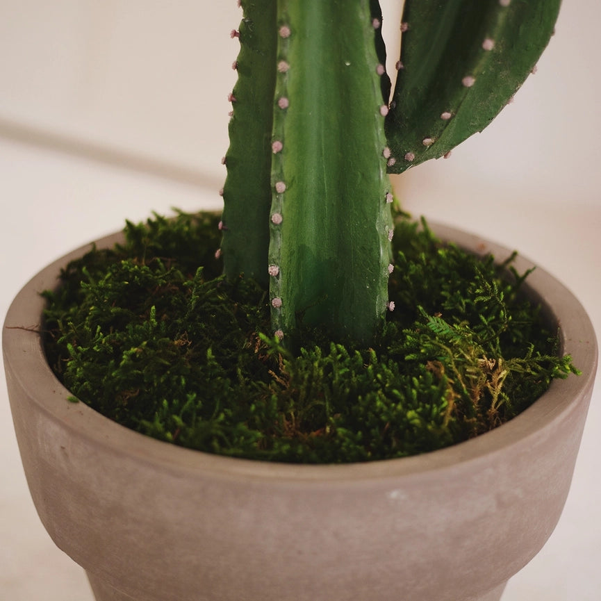 4.5' Cactus Artificial Plant-Artificial Plant-Maia Shop-4.5'-Urbanheer