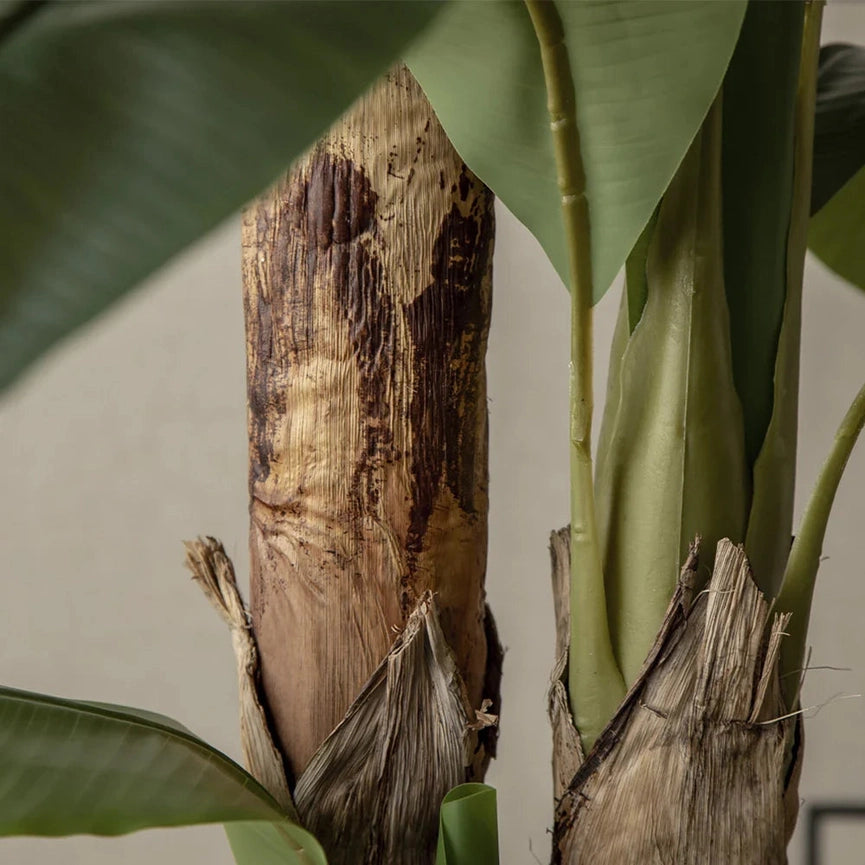 5' Artificial Banana Tree-Tree-Maia Shop-5'-Urbanheer