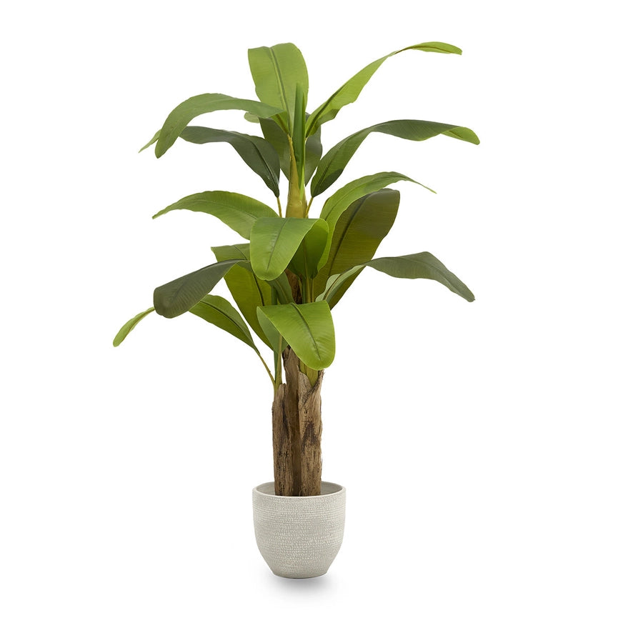 5' Artificial Banana Tree-Tree-Maia Shop-5'-Urbanheer