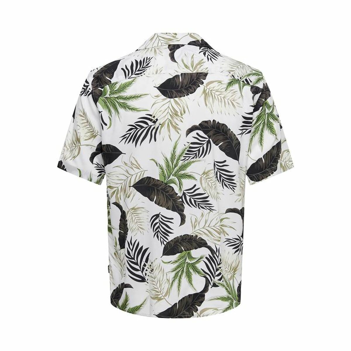 V4H5C9CAF7732CB659843B8F9AE0DC3A3DDR4371319P2