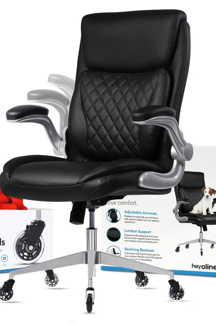 Ergoace Executive Ergonomic Office Chair Black-Office Chairs-Oline-Black-Urbanheer