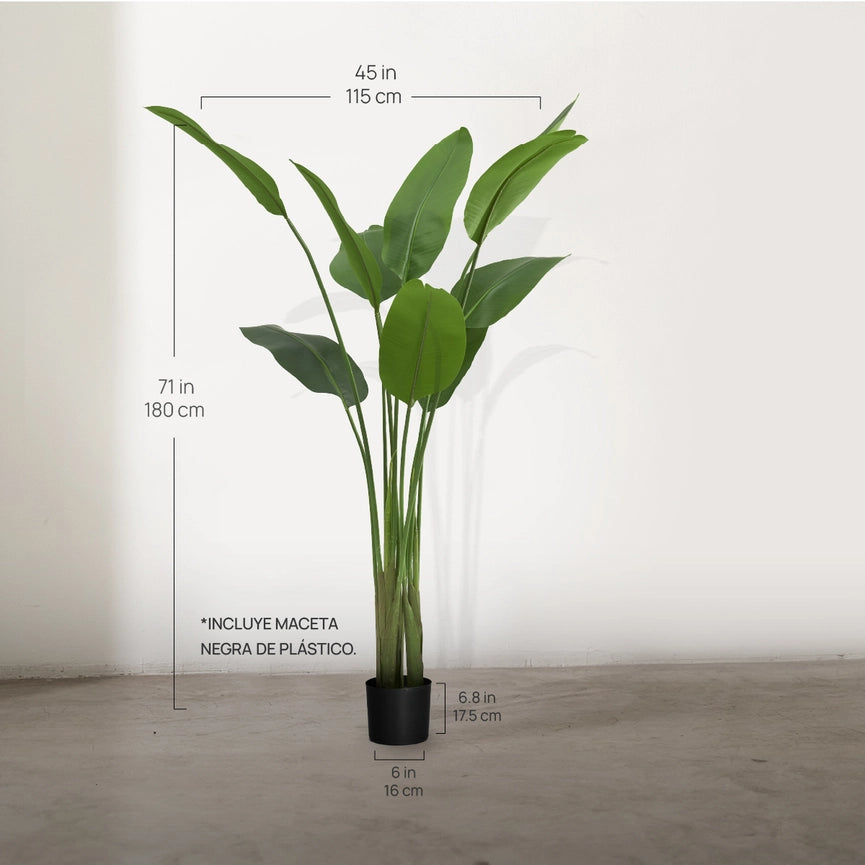 6' Artificial Bird of Paradise-Tree-Maia Shop-6'-Urbanheer