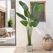 6' Artificial Bird of Paradise-Tree-Maia Shop-6'-Urbanheer