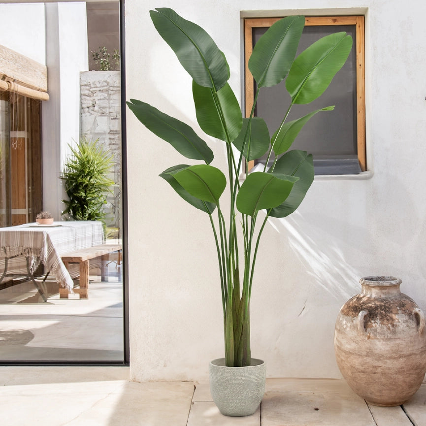 6' Artificial Bird of Paradise-Tree-Maia Shop-6'-Urbanheer