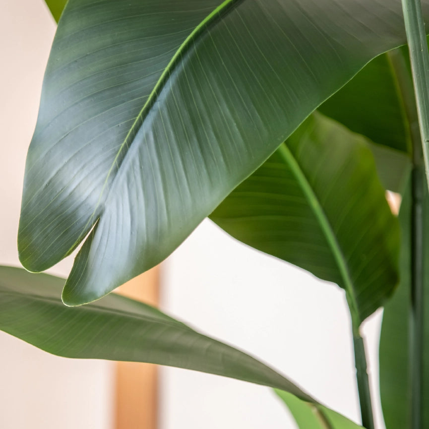 6' Artificial Bird of Paradise-Tree-Maia Shop-6'-Urbanheer