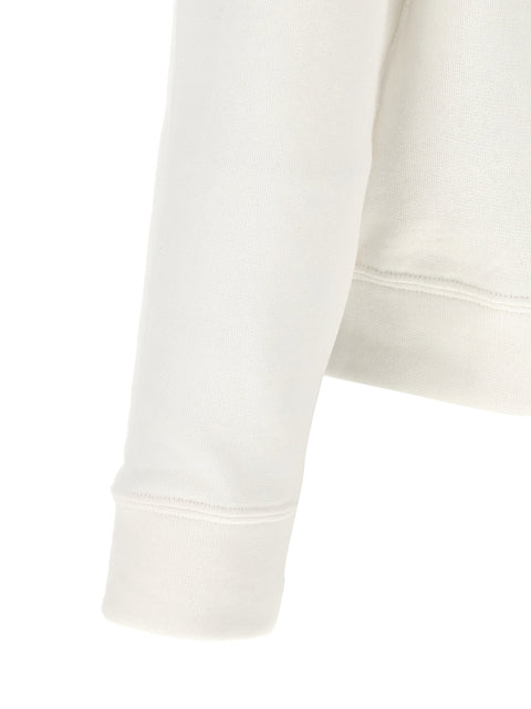 Polo Ralph Lauren Loopback Cotton Hoodie