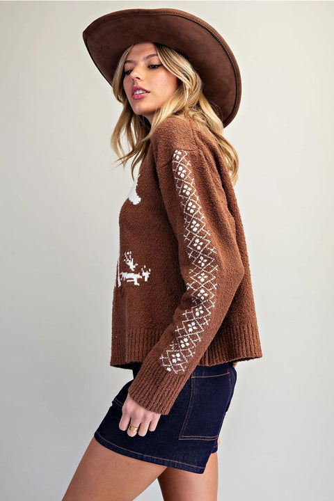 Western Horse Graphic Knit Sweater