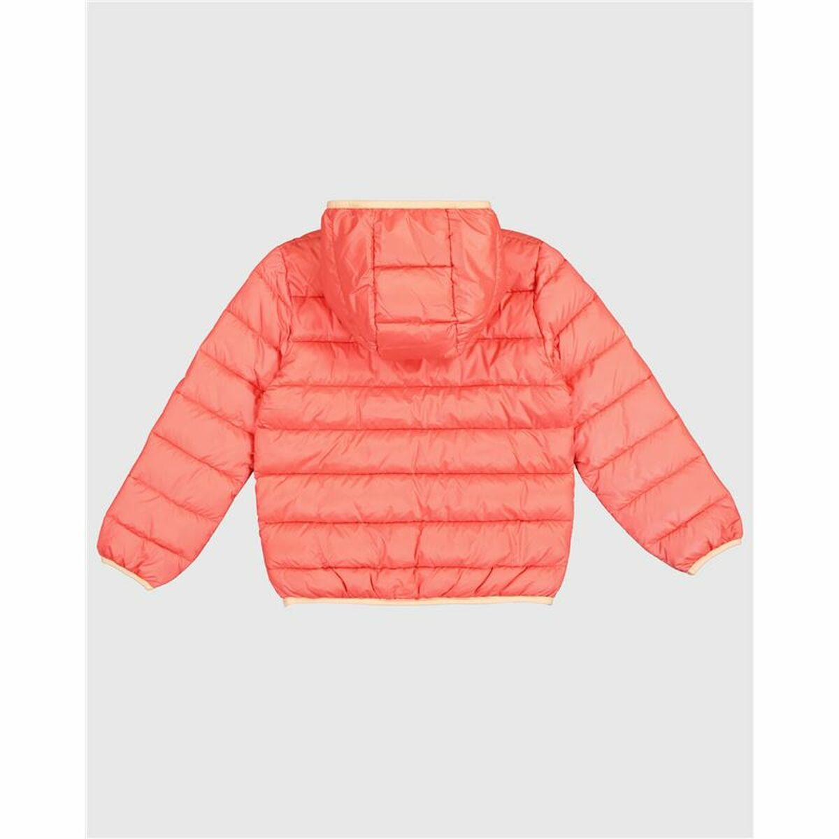 V4HFD9CB402DEBFBDBCDE5B6B734AB21AF0R5467646P2