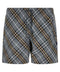 Burberry Swim Check