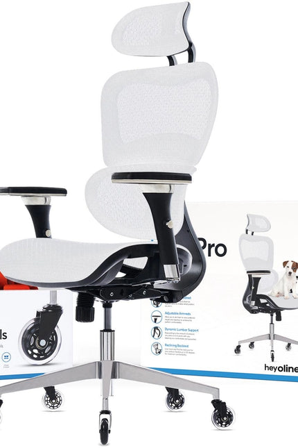 Ergopro Ergonomic Office Chair-Office Chairs-Oline-White-Urbanheer